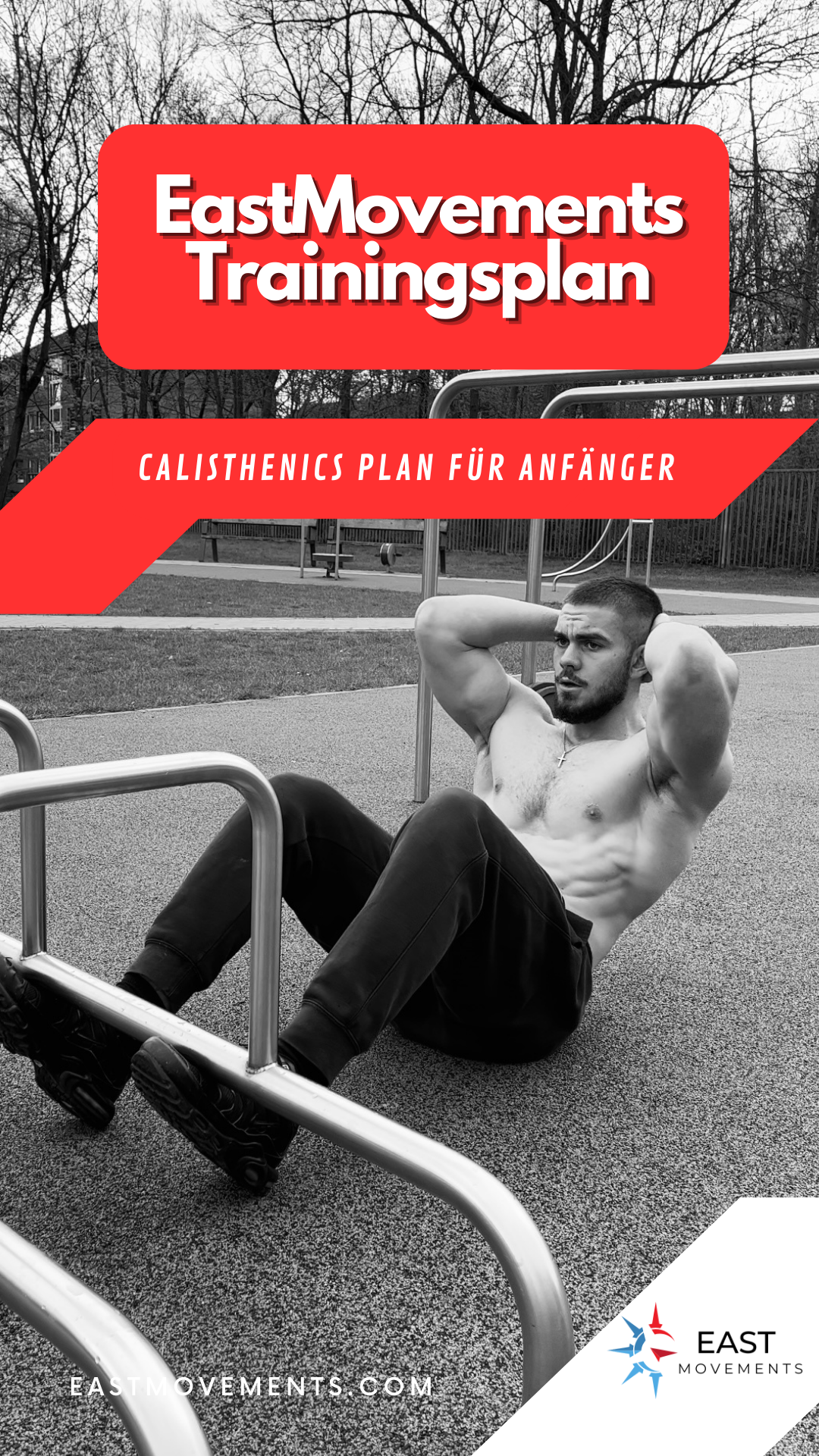 Calisthenics Anfänger Plan