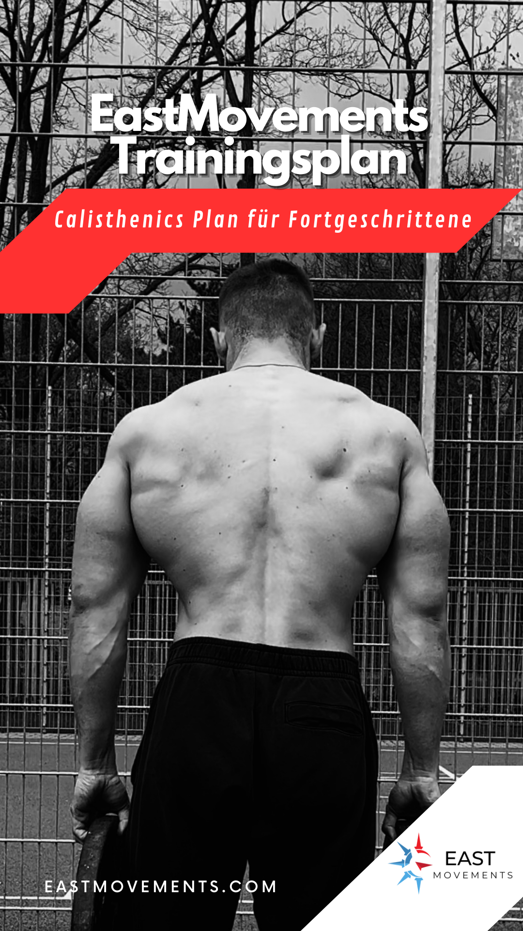 Calisthenics Fortgeschrittenen Plan